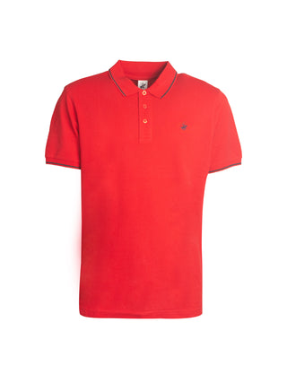 Polo in cotone con ricamo