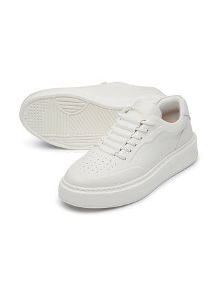 Sneaker phoenix